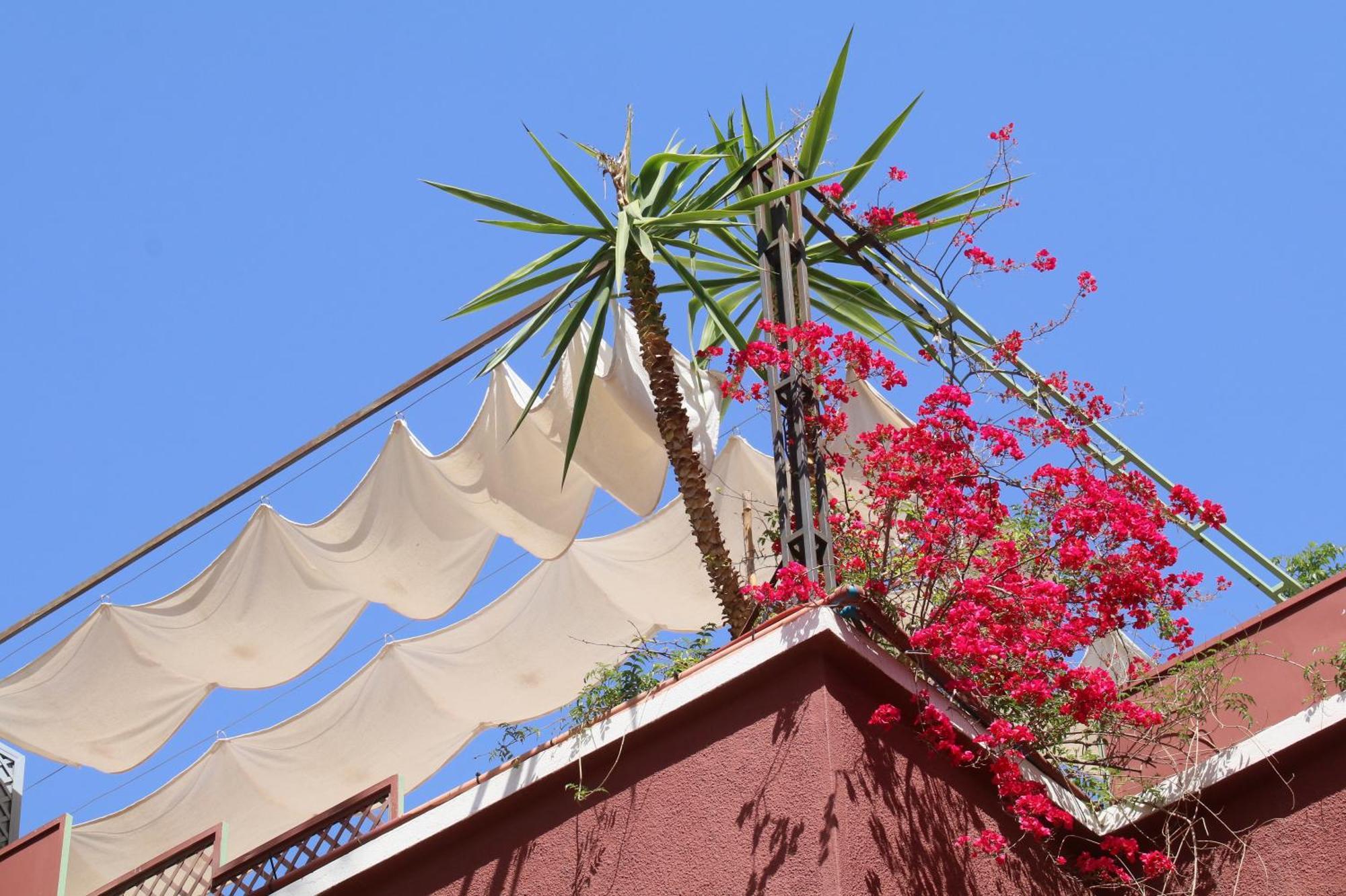 Riad Celia Marakeş Dış mekan fotoğraf